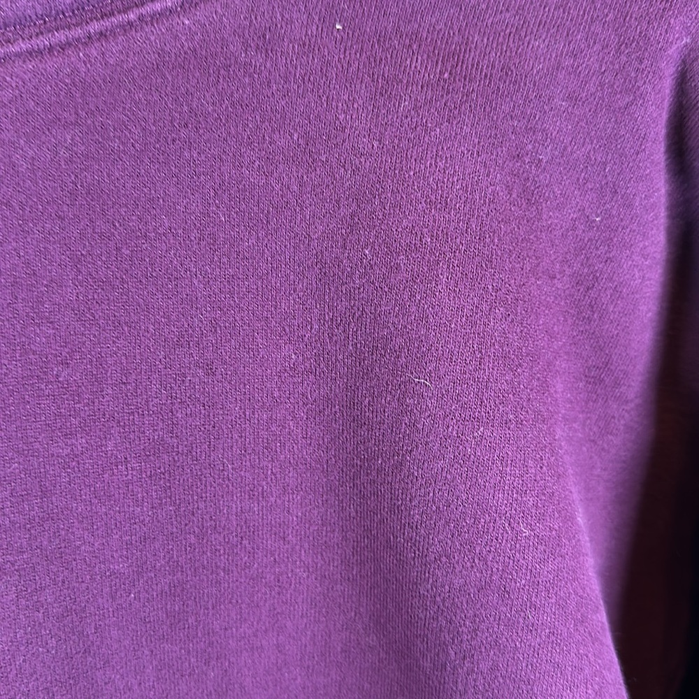 Aritzia TNA Cozy Fleece Hoodie size 2 - Picture 3 of 4